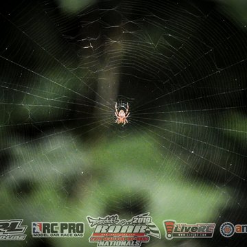 Gallery Photo 215 for 2019 ROAR Fuel Off-Road Nationals