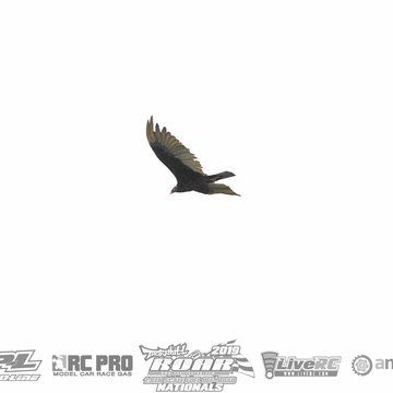 Gallery Photo 216 for 2019 ROAR Fuel Off-Road Nationals